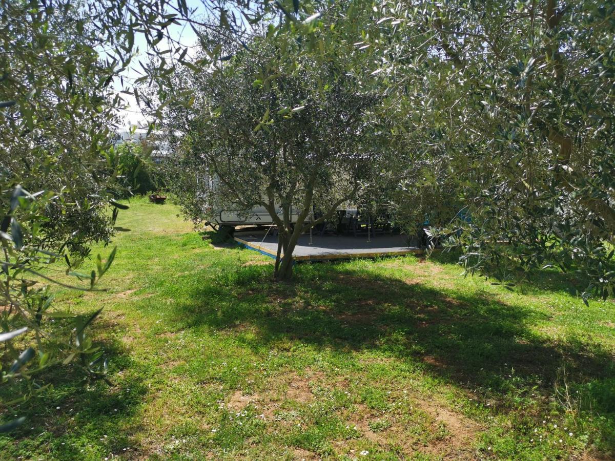 Large Camper In The Olive Grove Hotel Баньоле Екстериор снимка
