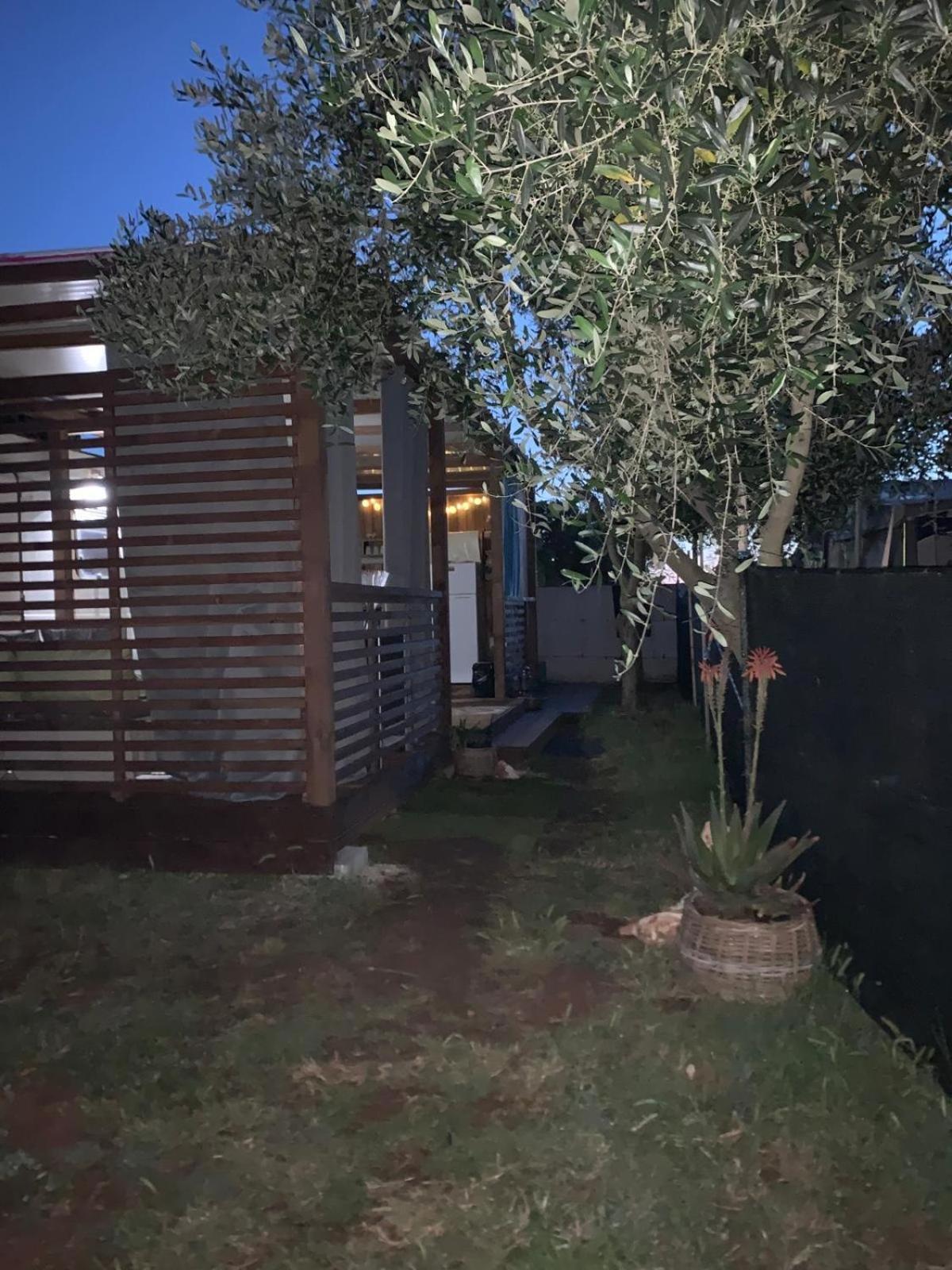 Large Camper In The Olive Grove Hotel Баньоле Екстериор снимка